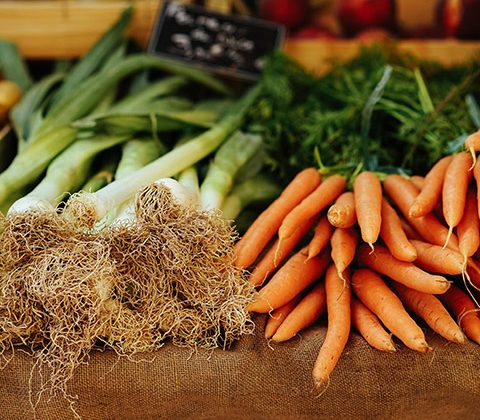 20 Fun Facts About Organic Food