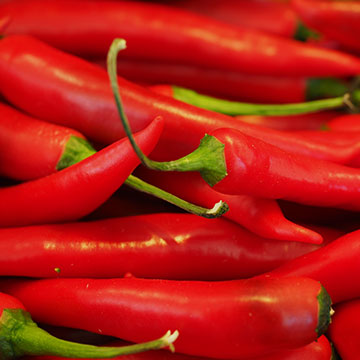 Pepper Red