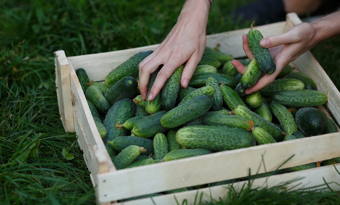 5 How to Save Money on Organic
