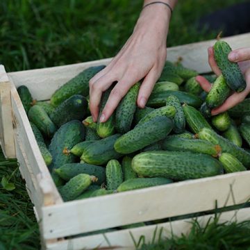 55 How to Save Money on Organic