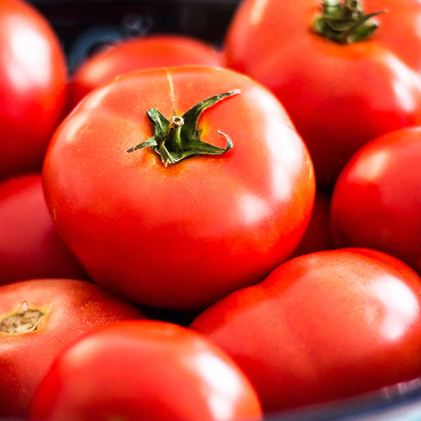 Tomatoes Vine