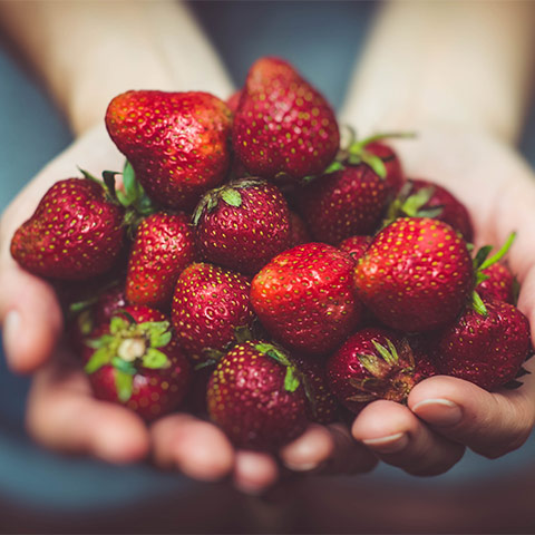 10 Tips for Making a Good Organic Even Better