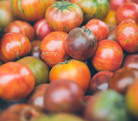 20 Fun Facts About A Tomato