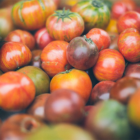 20 Fun Facts About A Tomato