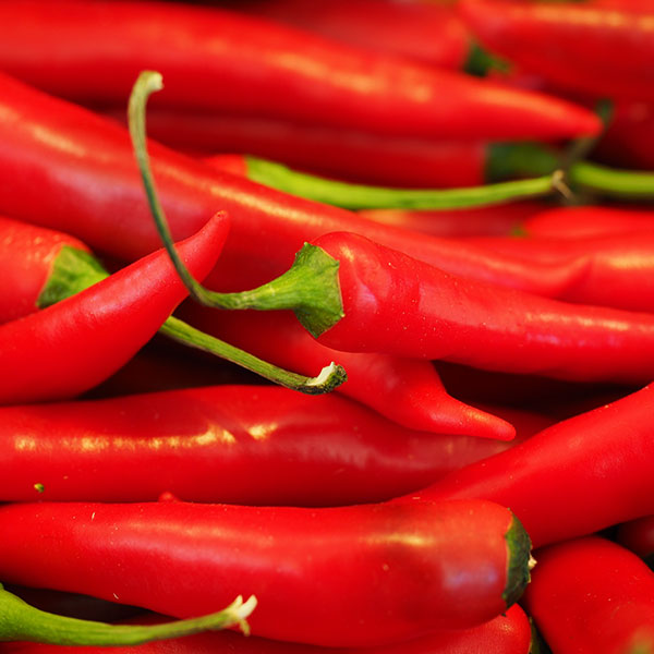 Pepper Red