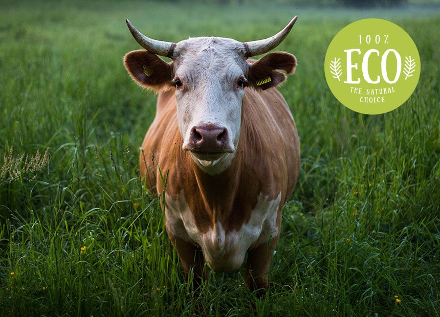 1 The Secret Life of Farm Animals