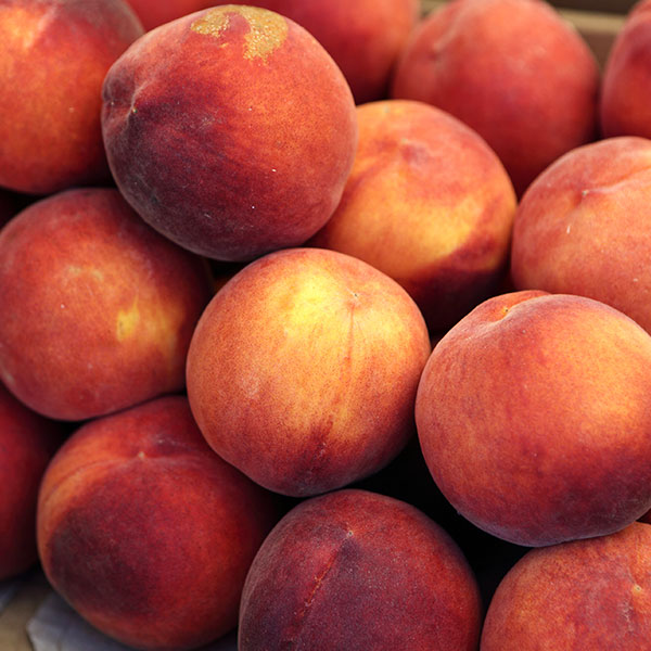 Peaches Classic