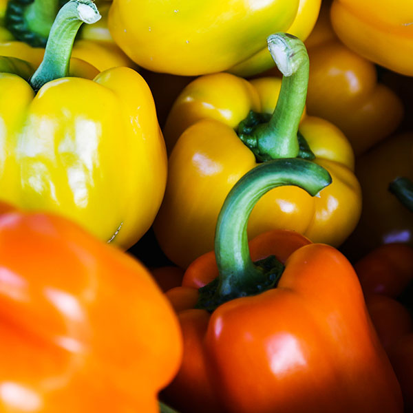 Pepper Yellow